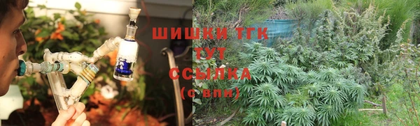 тгк Ладушкин